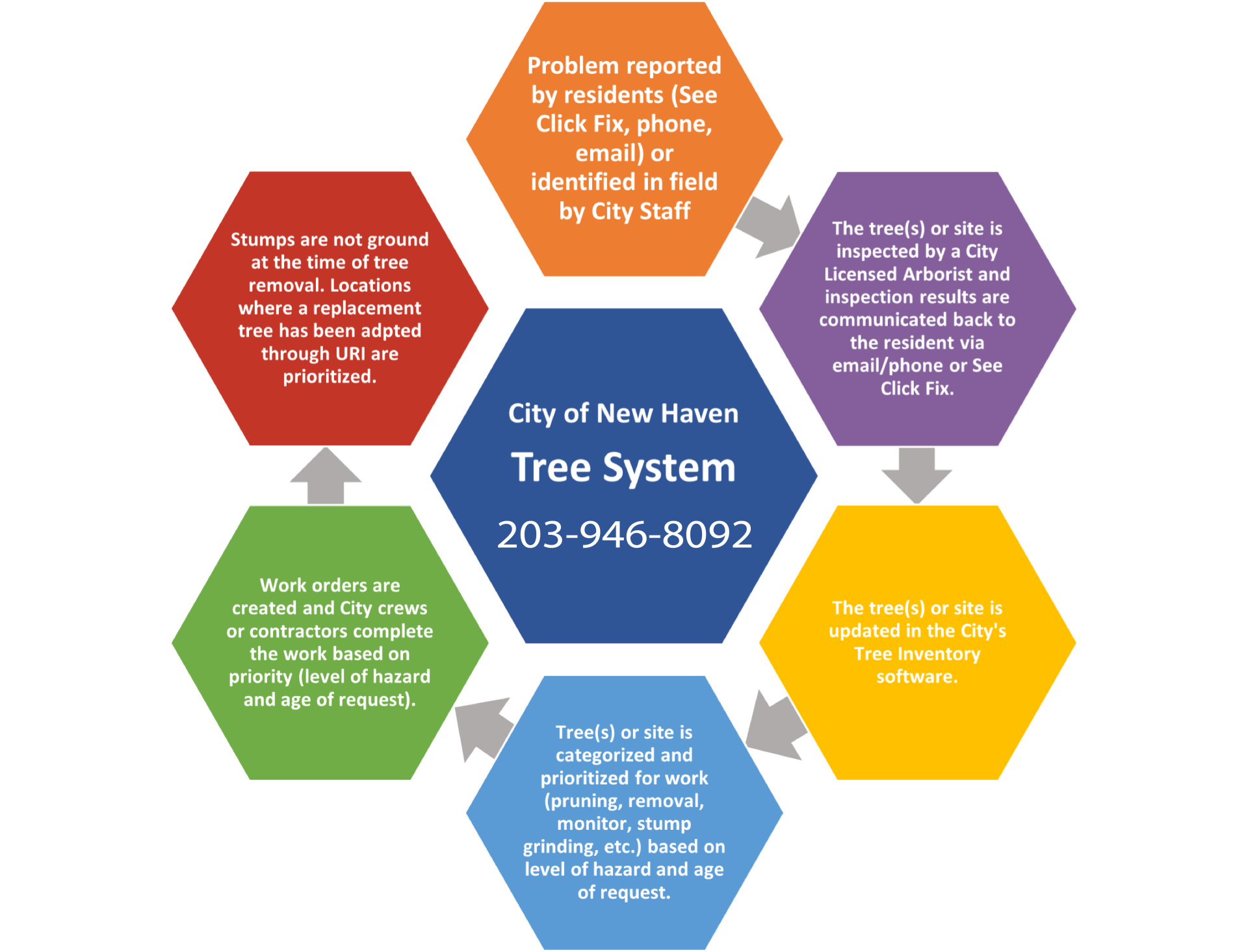 Tree System Process
